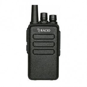 R310