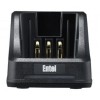 Entel CSAHX – изображение 1